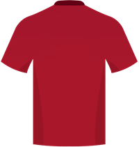 Số áo 33