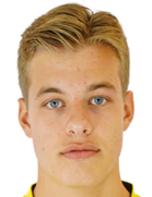 Joel van der Wilt