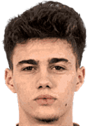 Nikola Mituljikic