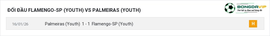 Lịch sử đối đầu Flamengo-SP (Youth) vs Palmeiras (Youth)