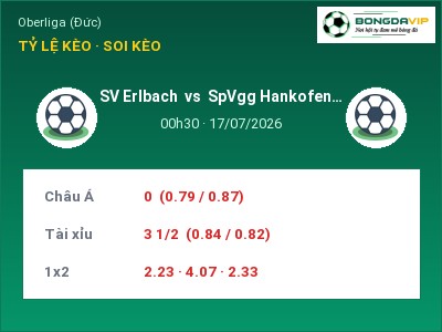 Dự đoán SV Erlbach vs SpVgg Hankofen-Hailing, 00h30 ngày 17/07: Tỷ lệ kèo Oberliga (Đức)