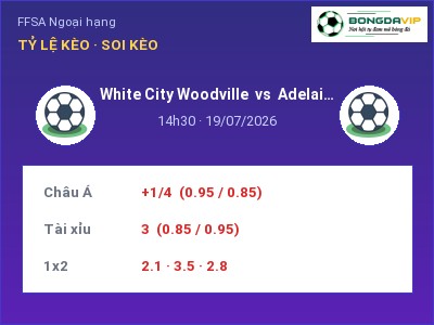 Nhận định kèo White City Woodville vs Adelaide United FC (Youth) 14h30 ngày 19/07 – Chủ nhà sáng cửa