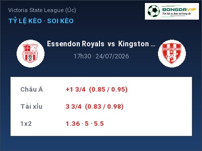 Nhận định Essendon Royals vs Kingston City, 17h30 ngày 24/07: Soi kèo Victoria State League (Úc)
