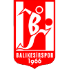 Logo Balikesirspor U19