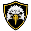 Logo Bangalore Eagles