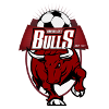 Logo Banyule City (W)