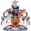 Logo Barry Town (W)