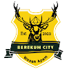 Logo Berekum City