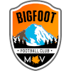 Logo Bigfoot