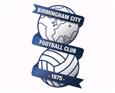 Logo Birmingham City U23