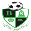 Logo Birtley Town