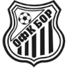Logo Bor 1919
