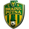 Logo Bradul Putna