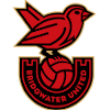 Logo Bridgwater United (W)