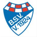 Logo Brinkumer SV