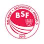 Logo BSF