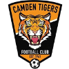 Logo Camden Tigers (W)