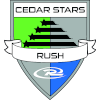 Logo Cedar star