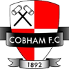 Logo Cobham