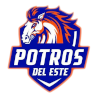 Logo Costa Del Este