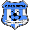 Logo CS Gilortul Targu Carbunesti