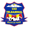 Logo CSO Teleajenul Valeni de Munte