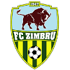Logo FC Chisinau (W)