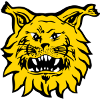 Logo FC Ilves II U20