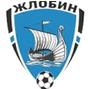 Logo FK Zhlobin