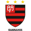 Logo Flamengo SP U23