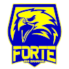 Logo Forte Rio Bananal U20