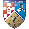 Logo HNK Capljina