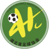 Logo hubei U20