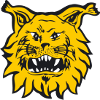 Logo Ilves II (W)