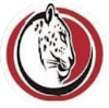 Logo Jaguar FC