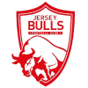Logo Jersey Bulls