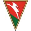 Logo Lublinianka Lublin