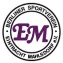 Logo Mahdov FC