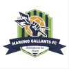 Logo Marumo Gallants Reserves