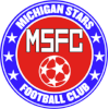 Logo Michigan Stars