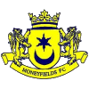 Logo Moneyfields (W)