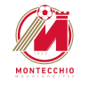 Logo Montecchio Maggiore