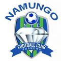 Logo Namungo FC