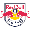 Logo New York Red Bulls B