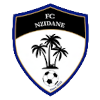 Logo NZidane