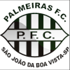 Logo Palmeiras FC U20