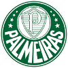 Logo Palmeiras (Youth)
