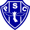 Logo Paysandu(PA) (Youth)