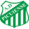 Logo Picuiense