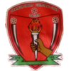 Logo Sawmer SC